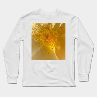 Interior Sun Long Sleeve T-Shirt